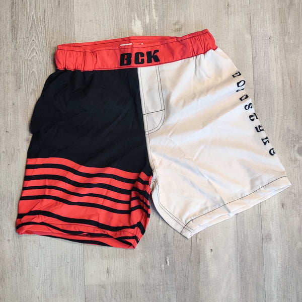Big Cat Grappling Shorts (Artist Series)